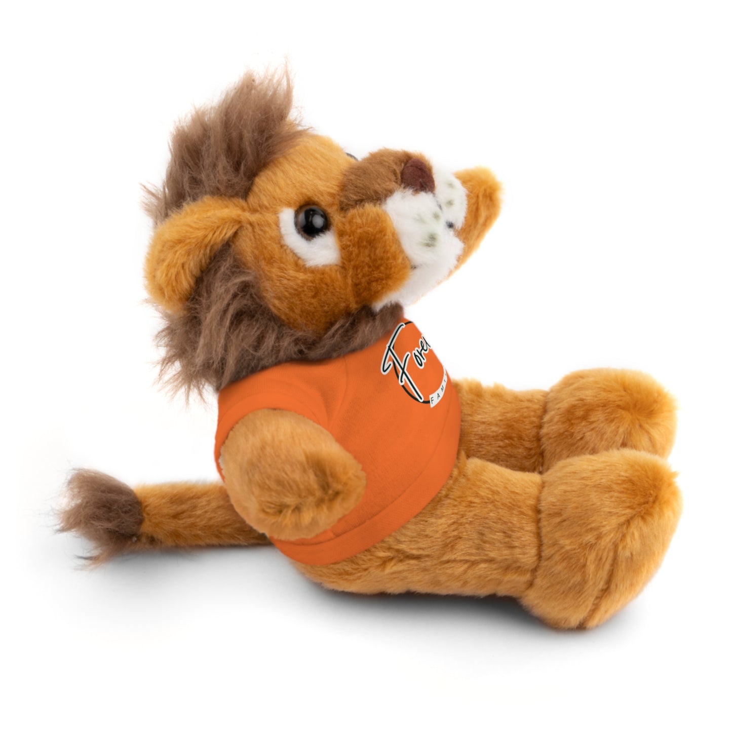 Forever Family Plush Bear with T‑Shirt
