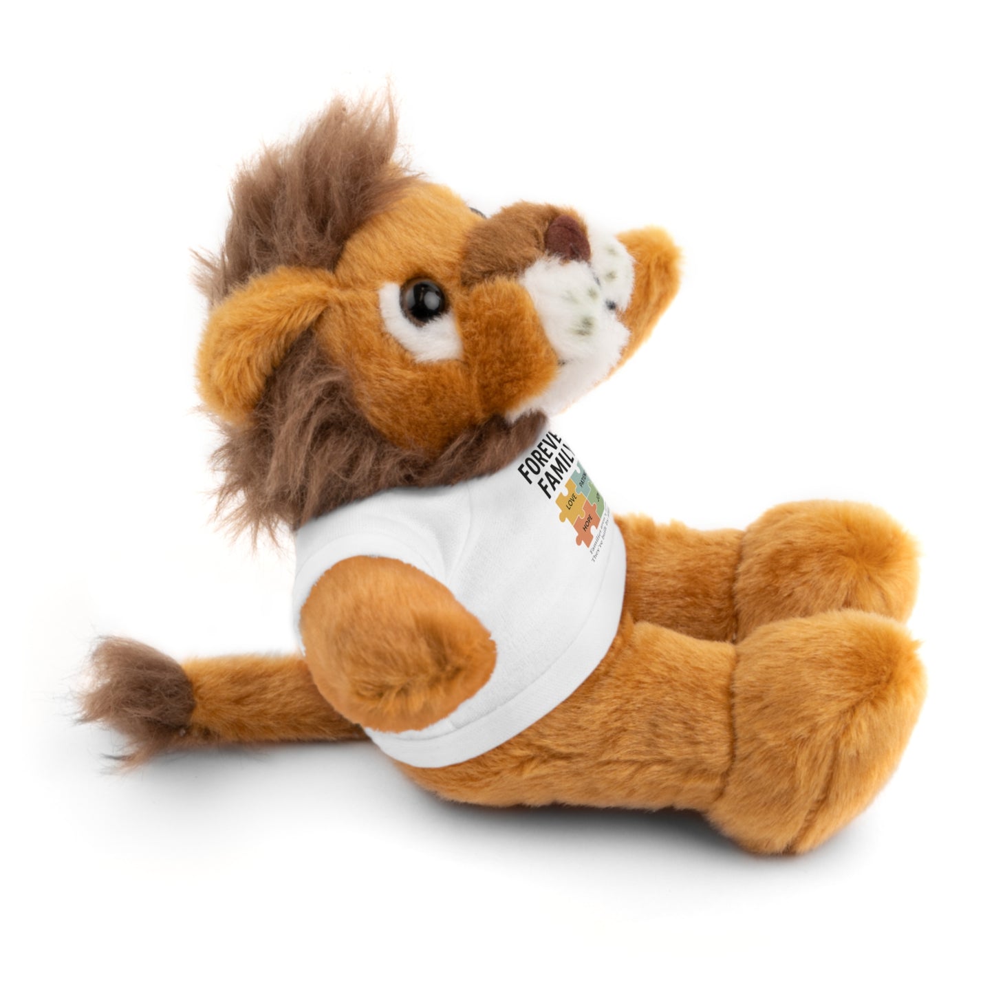 "Forever Family" Plush Bear with Tee