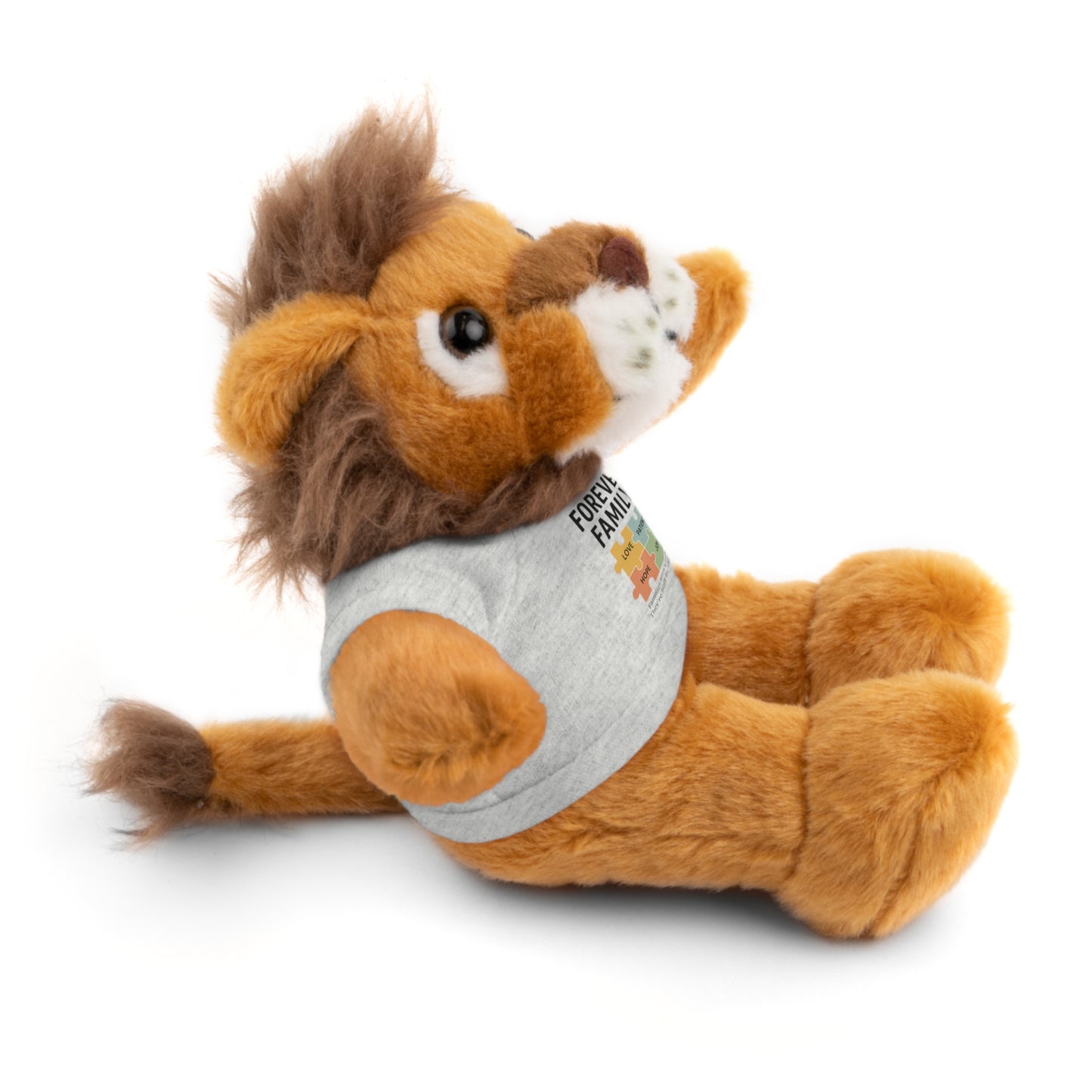 "Forever Family" Plush Bear with Tee
