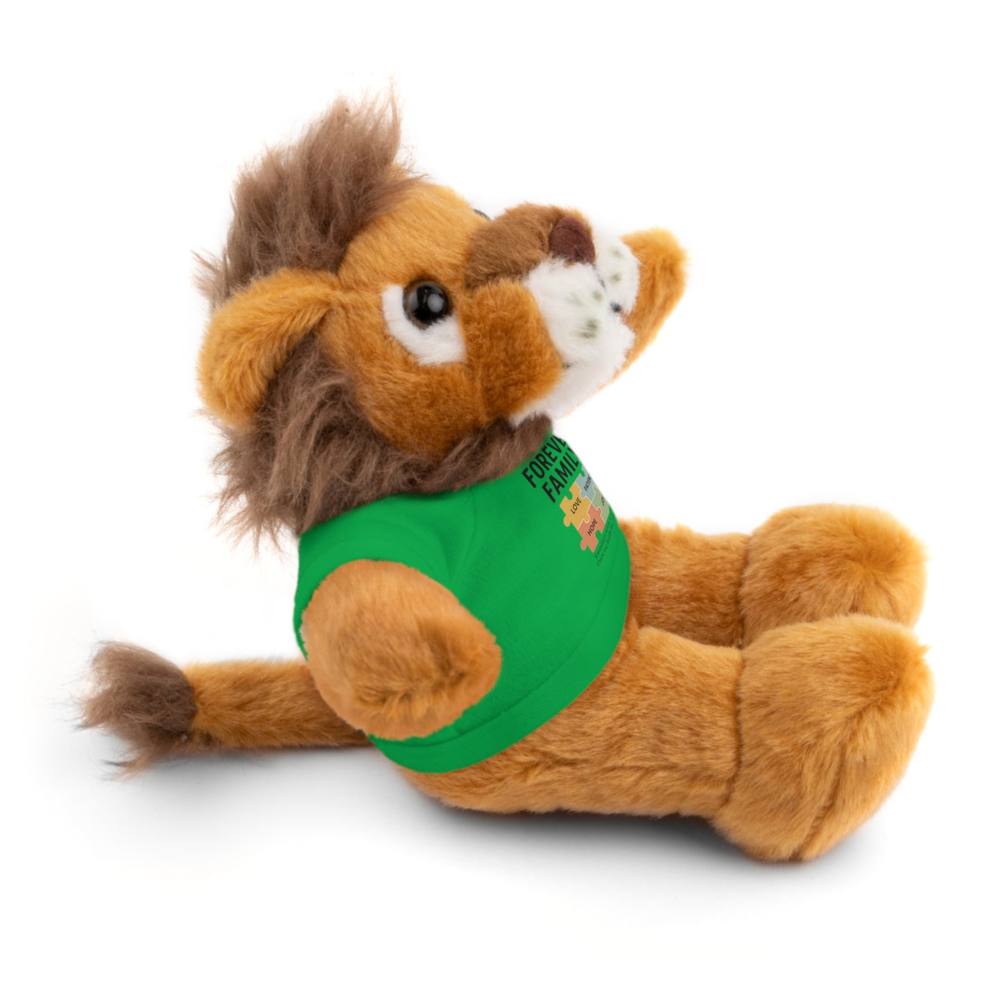 "Forever Family" Plush Bear with Tee