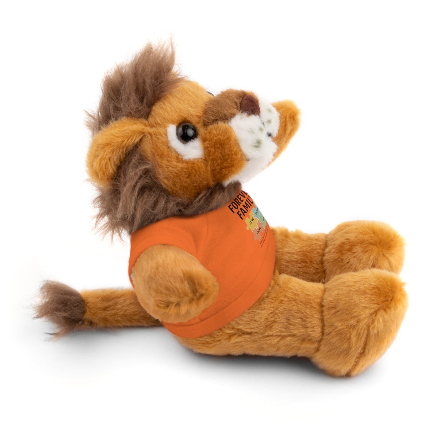 "Forever Family" Plush Bear with Tee